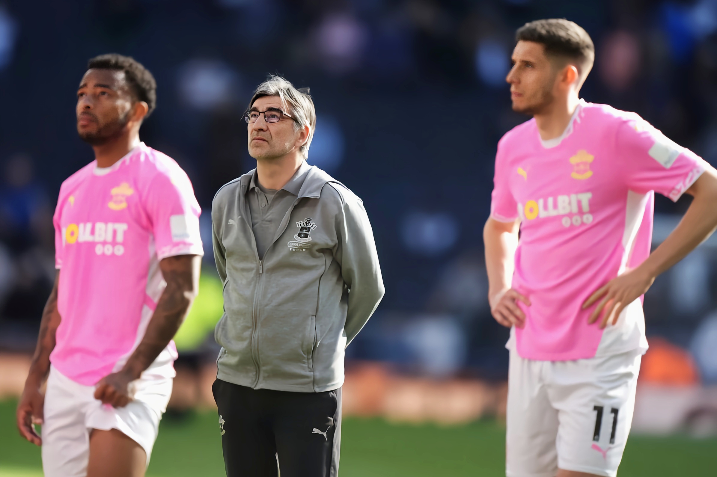 南安普顿决胜一搏,主场对决狼队热血沸腾 南安普顿决胜一搏,主场对决狼队热血沸腾